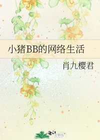 小豬BB的網路生活