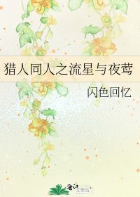 獵人同人之流星與夜鶯