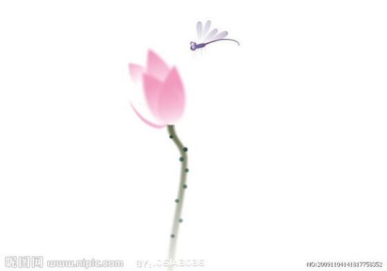 小荷才露尖尖角